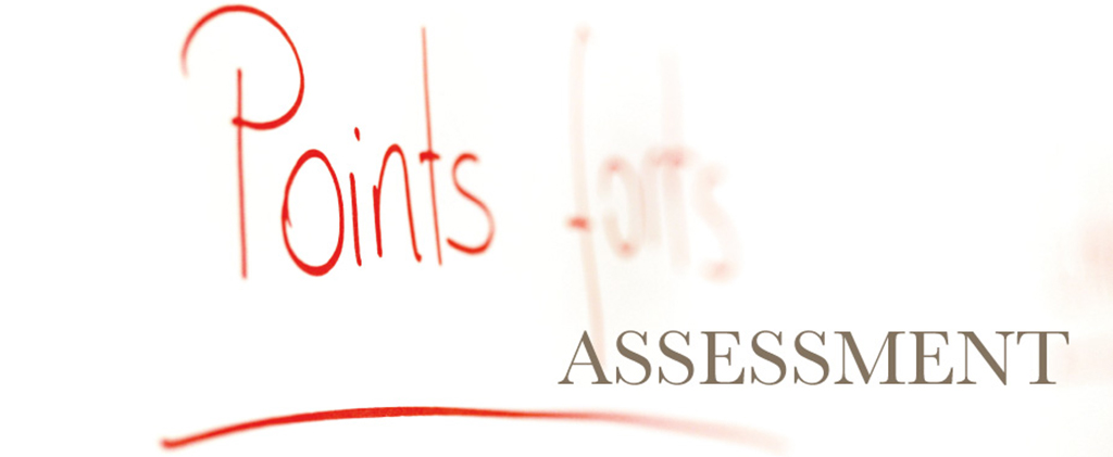 Selection / development assessment 1 Selection / development assessment assessment