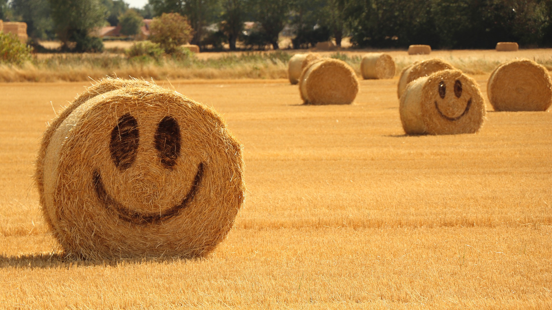 It's Proven : Positive Work Cultures Are More Productive 1 It's Proven : Positive Work Cultures Are More Productive happy